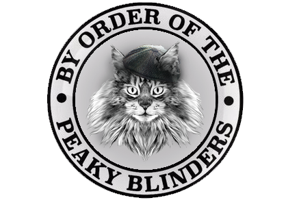 Cattery Peaky Blinders