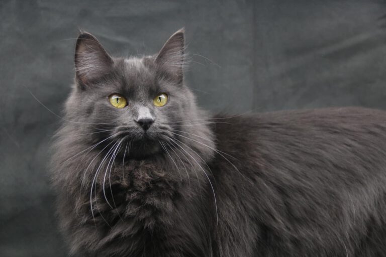 317951383_5749181471807849_6481521619076195498_n